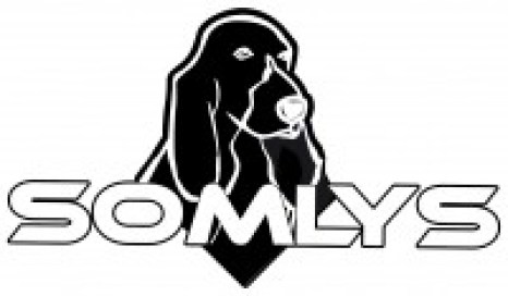 logo somlys9